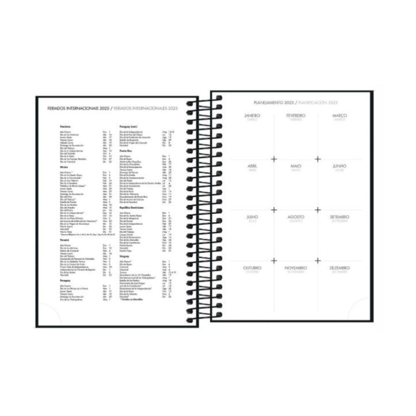 Agenda Espiral Executiva Diaria 12,9x18,7cm 2024 Napoli 130095 Tilibra