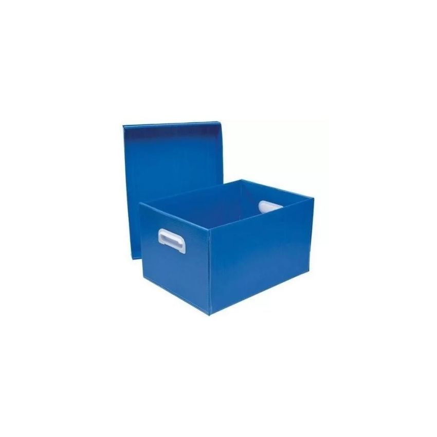 Caixa Organizadora The Best Box Azul g  0223 Polibras