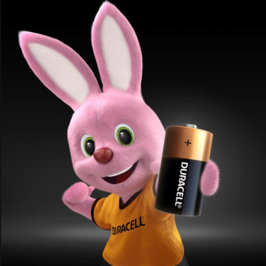 Pilha Alcalina Media c 2 Unid Duracell