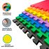 Kit Tatame 50x50cm 2cm de Espessura C/10 Cores Sortidas Evamax