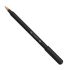 Caneta Esferografica Pentonic 0,7mm c/ 10 Cores 76.1124 Cis